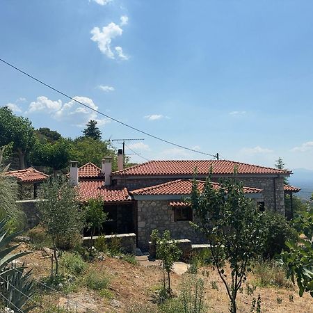 Terra Petra Villa at Psari Trikolonon Gortynia Psarion Bagian luar foto