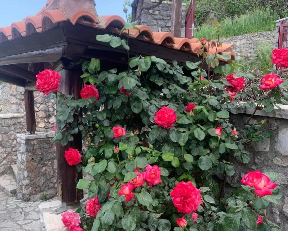 Terra Petra Villa at Psari Trikolonon Gortynia Psarion Bagian luar foto
