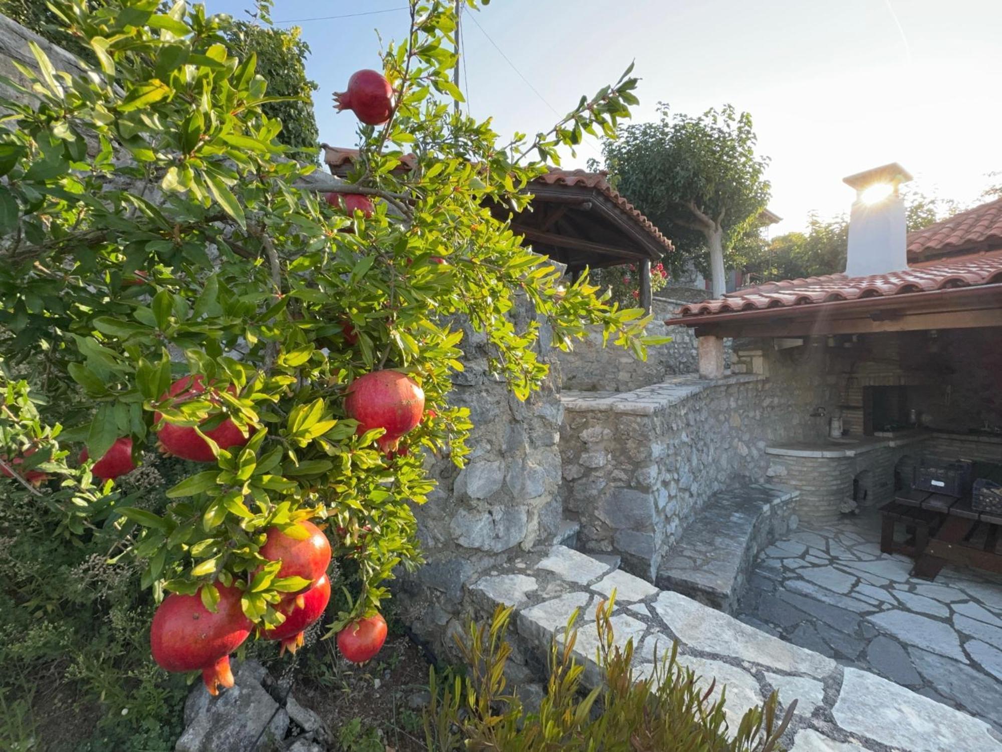 Terra Petra Villa at Psari Trikolonon Gortynia Psarion Bagian luar foto